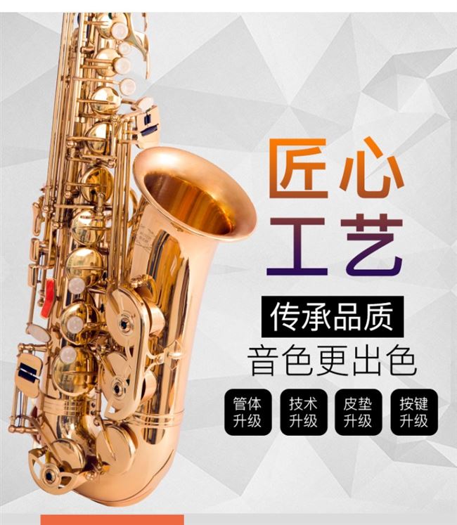 Saxophone Người mới bắt đầu Giới thiệu về Sal Man Saxophone Nhạc cụ Người mới bắt đầu Treble Tenor tầm trung - Nhạc cụ phương Tây đàn guitar cordoba