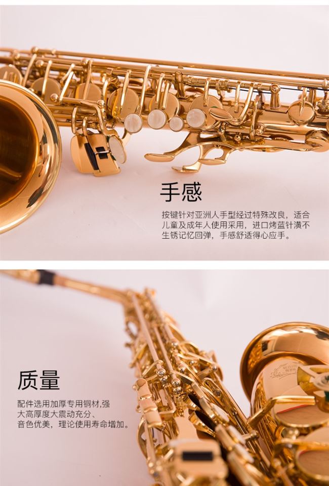 Saxophone Người mới bắt đầu Giới thiệu về Sal Man Saxophone Nhạc cụ Người mới bắt đầu Treble Tenor tầm trung - Nhạc cụ phương Tây