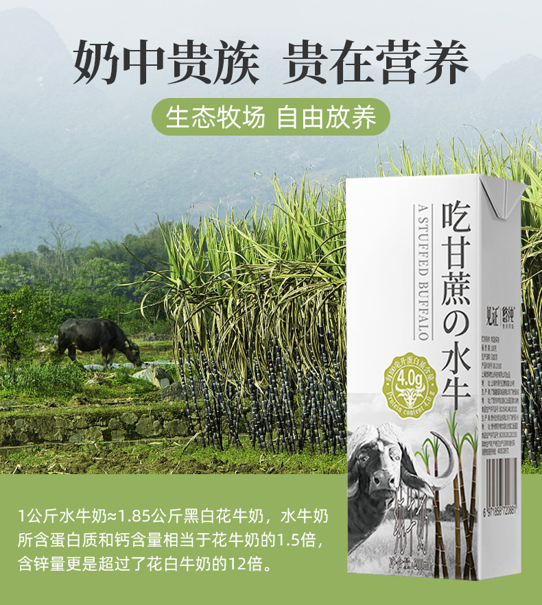 奶中珍品 见证 4.0高蛋白 全脂水牛奶 200ml*10盒 图4