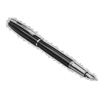 (Japan Direct Mail) Amazon Twice As Fountain Pen Fine Tip Refill with 1 black ink core FC008A-1