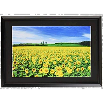 (Direct Mail from Japan) Nakabayashi Nakabayashi Aluminum Lightweight Photo Frame Wide Six Cut Size Black F-SA-2