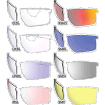 Japan direct mail SWANS mens and womens Lion Shin LION SIN series lens sunglasses single lens glasses