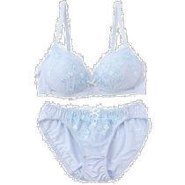 (Japan Direct Mail) Lady Palaissees Underwear Sets of underwear