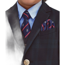 Japanese direct mail green label relaxing childrens tie and handkerchief set M-L 3833699088