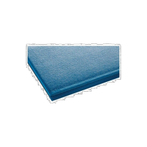 Japanese direct mail TERAMOTO fatigue reducing foot pad MR-069-042-3