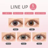 Япония прямая почтовая почта международной цвет Cisconal Case Case Monthly Subly -Clood -Clood Cisred Cisron