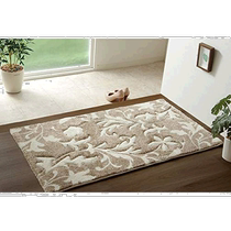 (Direct mail from Japan) Ikehiko Entrance Carpet 4550317068324
