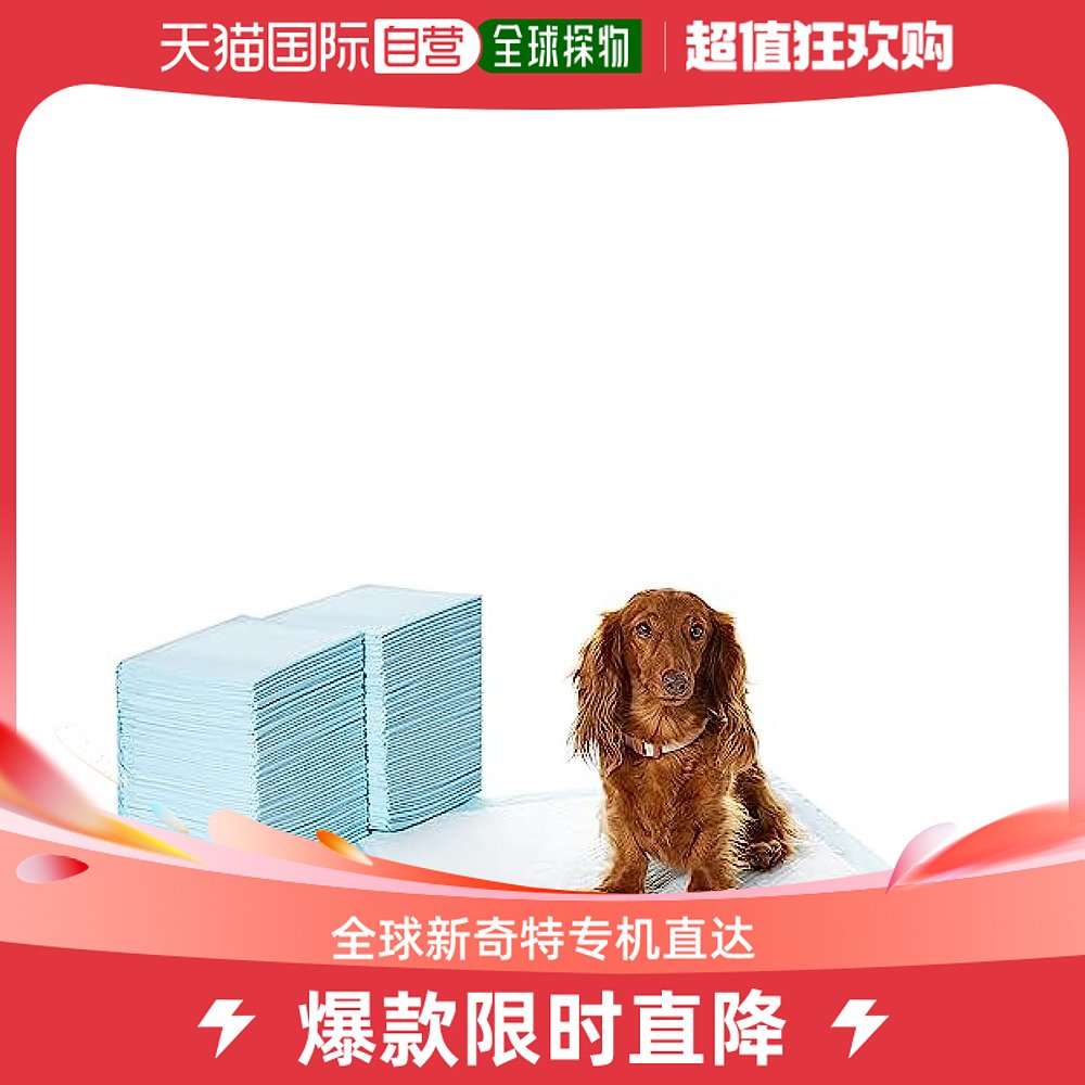 (Japan Direct Mail) Amazon Twice As Pets Pee Cushion Dogs Young Dogs With Toilet Pads 56 × 56cm-Taobao