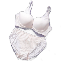 (Direct mail from Japan) palissee womens underwear set