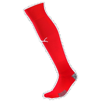 Day Tide running leg puma Puma Puma socks 704157 25cm