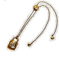 (Japan Direct Mail) COACH GUCCI LADY BRACELET Bracelet Bracelet