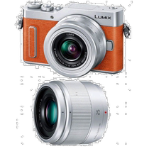 (Direct Mail from Japan) Panasonic Mirrorless Interchangeable Lens Camera Lumix Dual Lens Kit DC-GF9