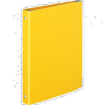 (JAPON DIRECT MAIL) COLOR PALTTE Carnet à feuilles larges A5 20 Holes plus de 100 Zhang Yellow