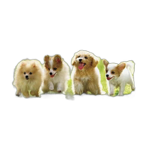 (Direct mail from Japan) EPOCH jigsaw puzzle sit in rows bark small jigsaw puzzle improve concentration