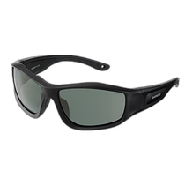 Japan direct mail Shimano polarized glasses floating fishing glasses HG-064P matte black natural green