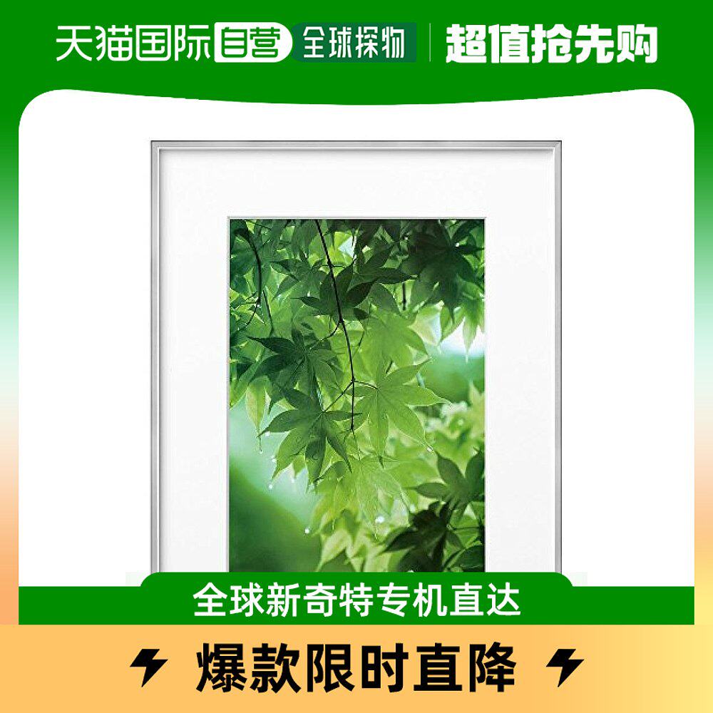 (Japan Direct Mail) HAKUBA ZERO Series Light Weight Plastic Photo Frame A4 Size Silver FZG01-A4S-Taobao