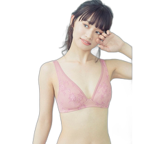 (Japan direct mail) Wing Ladies Bra