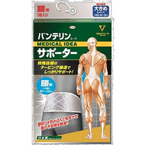 (Direct mail from Japan) KOWA waist support equipment L size (abdominal circumference about 80~100cm) gray