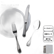 Japanese direct mail versace universal flatware set Versace