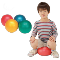 Self-operated｜evernew universal fitness ball yoga ball training