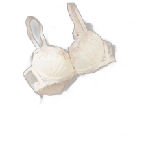 (Direct mail from Japan) palissee Womens underwear set