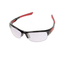 Nichichao running errand SWANS (men and women) cycling glasses SPRINGBOK ULTRA for G black