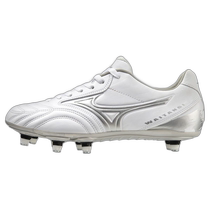 Japanese direct mail general sports shoes