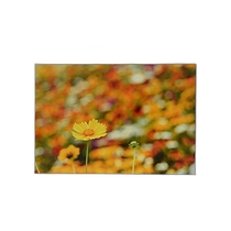 (Direct mail from Japan) Fujicolor Fujifilm photo frame aluminum A32 6-cut size silver 30662