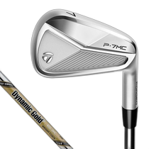(Direct mail from Japan) TaylorMade Sports Goods Golf Irons Dynamic Go