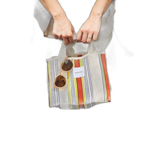 Japanese direct mail FREAKS STORE womens colorful striped handbag S 1496248900022
