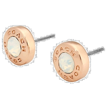 Japanese direct mail universal earrings