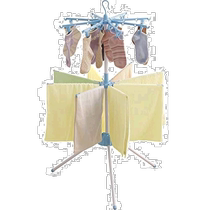 (Direct mail from Japan) Alice Oyama indoor umbrella type clothes drying rack blue WSP132R