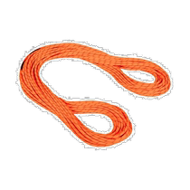 Ritz errand MAMMUT Mammoth 8 0 alpine dry rope 2010-04350