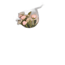 Japan direct mail Maison de FLEUR womens ribbon printed eco-friendly shopping bag 8A33F0J8300