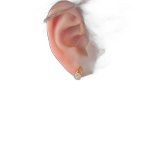 (Direct mail from Japan) Phoebe Ms. Ear Clip