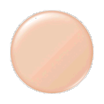 Japan direct mail ELEGANCE hydrating moisturizing partial concealer foundation SPF18 PA