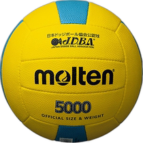 Molten Dodge Ball No. 3 Dodge Ball 500D3C5000-YC D3C5000YC