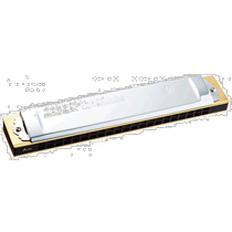 (Direct mail from Japan) TOMBO Tongbao 21-hole polyphonic Am key beginners students children men and women entry piano 1