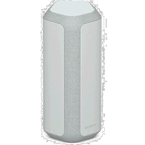 Sony SONY SRS-XE300 H light gray wireless portable speaker SRSXE300H