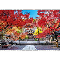 (Direct mail from Japan) Epoch 1000 piece puzzle: Beautiful Autumn at Shuzenji Temple - Shizuoka (50 x 75