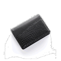 Japan direct mail sankyo shokai unisex crocodile and cowhide business card holder made in Japan light