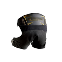 Direct mail from Japan Daiwa DA-1107T Championship hip pads L