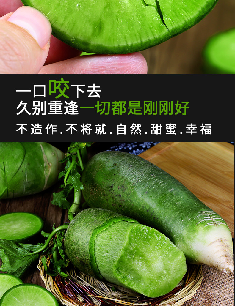 逗嘴鼠 潍坊潍县水果萝卜 净重4.5斤 图9