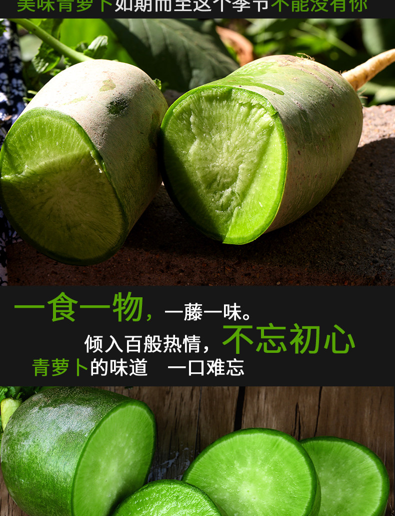 逗嘴鼠 潍坊潍县水果萝卜 净重4.5斤 图6