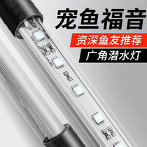 Fish tank light led light Waterproof lighting Aquarium colorful diving light Arowana lamp Aquatic plant light Small