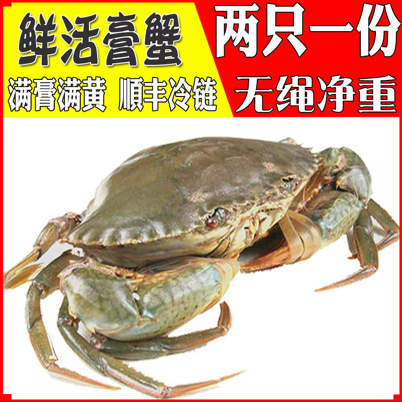 Fresh Live Crab Crab Full Options Yellow Two Live Crab Butter Crab Seafood Aquaculture
