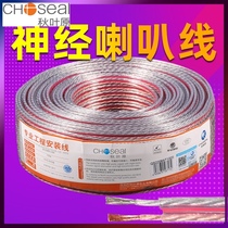 Akihabara QS2206 pure copper 100-core 200-core 300-core hifi with nerve cable High-fidelity audio cable Home theater surround power amplifier fever speaker cable Speaker cable Engineering audio cable