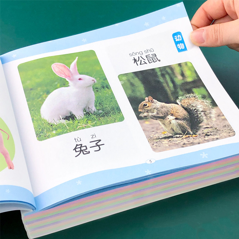 Children's early education books look at pictures and recognize objects, fruits, animals, insects, dinosaurs, shapes, colors, digital picture books, children's recognition of pictures, 1-2-3-4-5 years old, 6 babies, knowledge, enlightenment, cognition, baby puzzle kindergarten focus