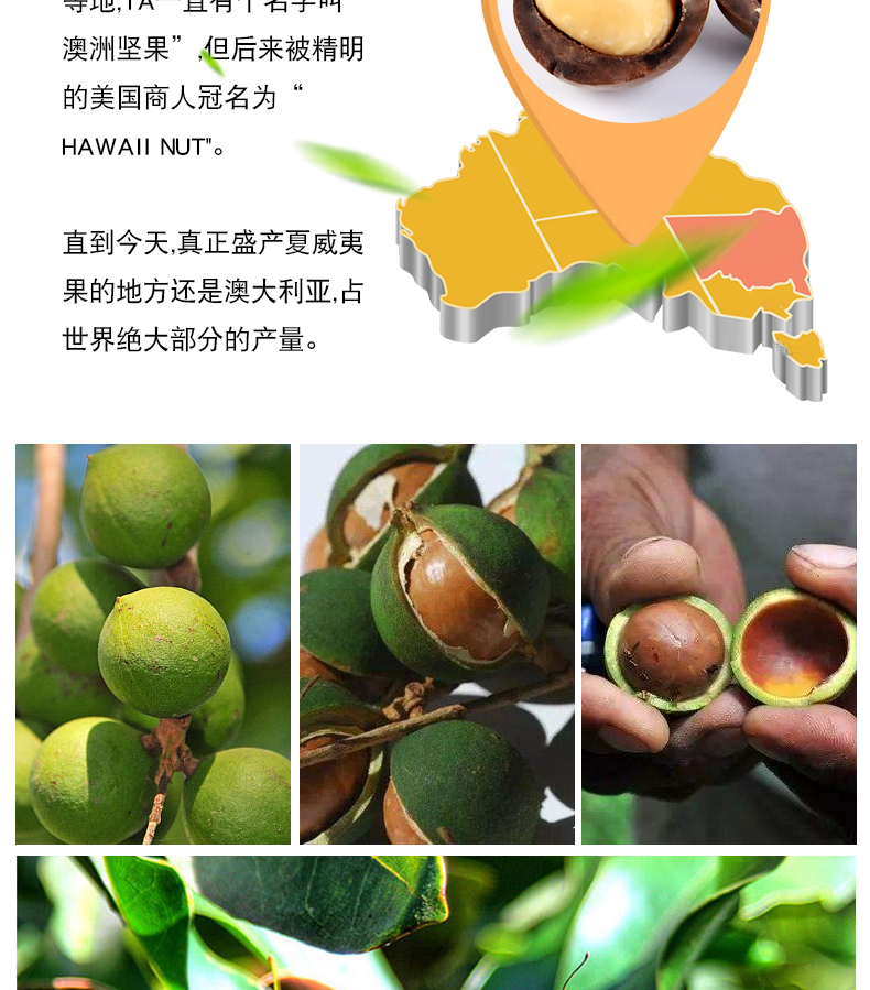 临小姐 新货 澳洲夏威夷果 250g*2罐 图5