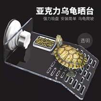Turtle basking platform Turtle cylinder basking platform Climbing Turtle climbing platform Turtle rest platform Water Turtle floating Island ladder Basking platform